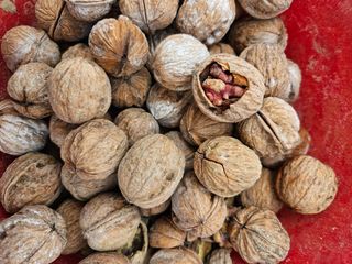 농업회사법인무지개주식회사님의 기타작물 · 자유게시판 작성글 사진