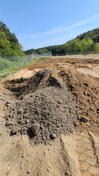 강릉 농사초보자님의 자유주제 · 자유게시판 작성글 사진