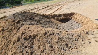 강릉 농사초보자님의 자유주제 · 자유게시판 작성글 사진