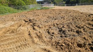 강릉 농사초보자님의 자유주제 · 자유게시판 작성글 사진