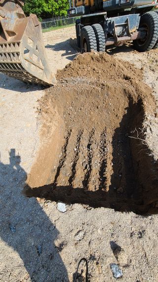 강릉 농사초보자님의 자유주제 · 자유게시판 작성글 사진