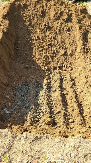 강릉 농사초보자님의 자유주제 · 자유게시판 작성글 사진