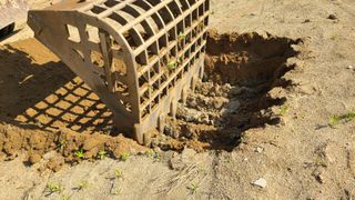 강릉 농사초보자님의 자유주제 · 자유게시판 작성글 사진