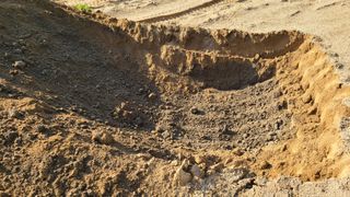 강릉 농사초보자님의 자유주제 · 자유게시판 작성글 사진