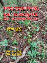 팜모닝 · 게시글 이미지