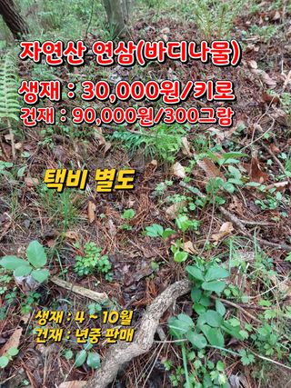 김봉호님의 작성글 사진