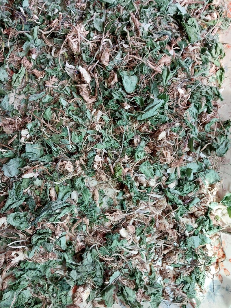 김봉호님의 장터 판매 상품 [연삼,자연산] 첨부 사진