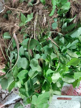 김봉호님의 작성글 사진