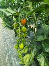 팜모닝 자유주제·자유게시판 게시글 이미지