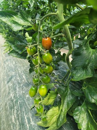 한미님의 자유주제 · 자유게시판 작성글 사진