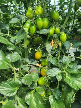 한미님의 자유주제 · 자유게시판 작성글 사진