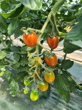 한미님의 자유주제 · 자유게시판 작성글 사진