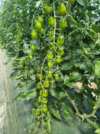 한미님의 자유주제 · 자유게시판 작성글 사진