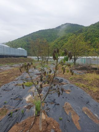 둥시감님의 자유주제 · 자유게시판 작성글 사진