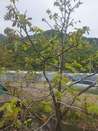 둥시감님의 자유주제 · 자유게시판 작성글 사진