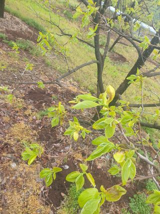 둥시감님의 자유주제 · 자유게시판 작성글 사진