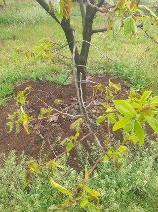 둥시감님의 자유주제 · 자유게시판 작성글 사진