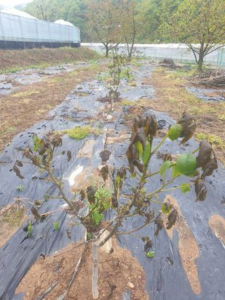 둥시감님의 자유주제 · 자유게시판 작성글 사진