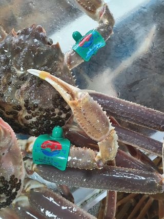 노가네수산님의 장터이야기 · 자유게시판 작성글 사진