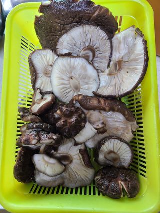 자연같이님의 우리동네 · 동네자랑 작성글 사진