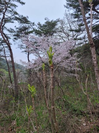 자연같이님의 우리동네 · 동네자랑 작성글 사진