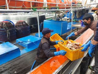 노가네수산님의 우리동네 · 동네자랑 작성글 사진