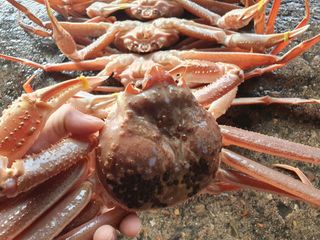 노가네수산님의 우리동네 · 동네자랑 작성글 사진