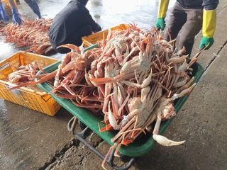 노가네수산님의 우리동네 · 동네자랑 작성글 사진