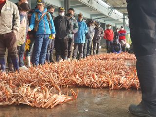 노가네수산님의 우리동네 · 동네자랑 작성글 사진