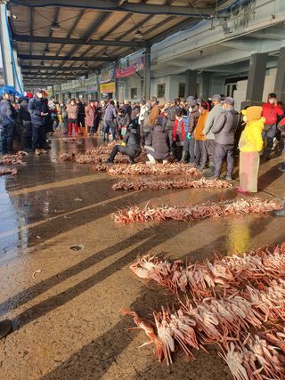 노가네수산님의 우리동네 · 동네자랑 작성글 사진