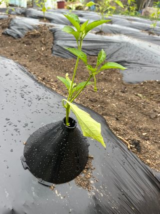 신흥생활가전님의 농자재정보 · 제품정보 작성글 사진