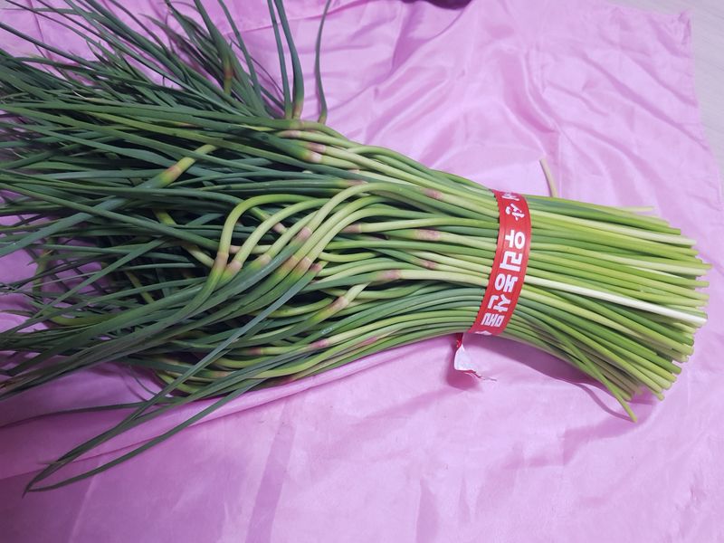 장터 상품 [마늘쫑  1관4키로20000원] 썸네일