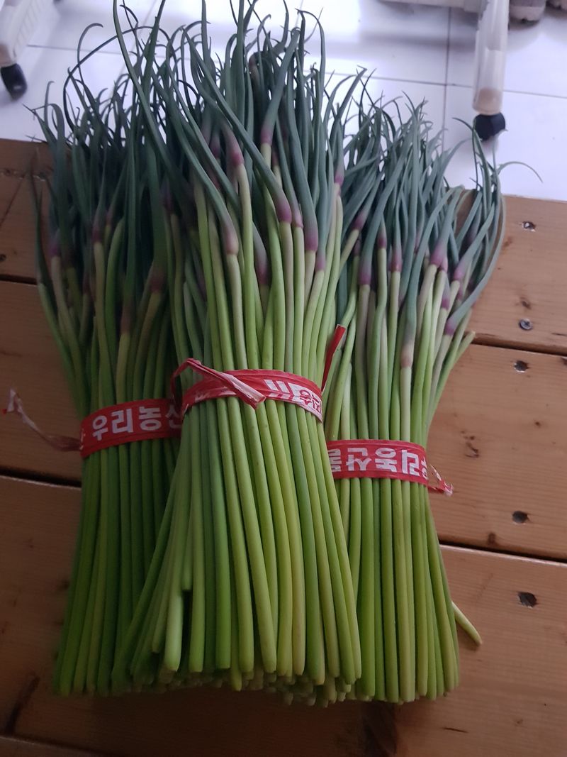 마늘  복숭아윤금자님의 장터 판매 상품 [마늘쫑  1관4키로20000원] 첨부 사진