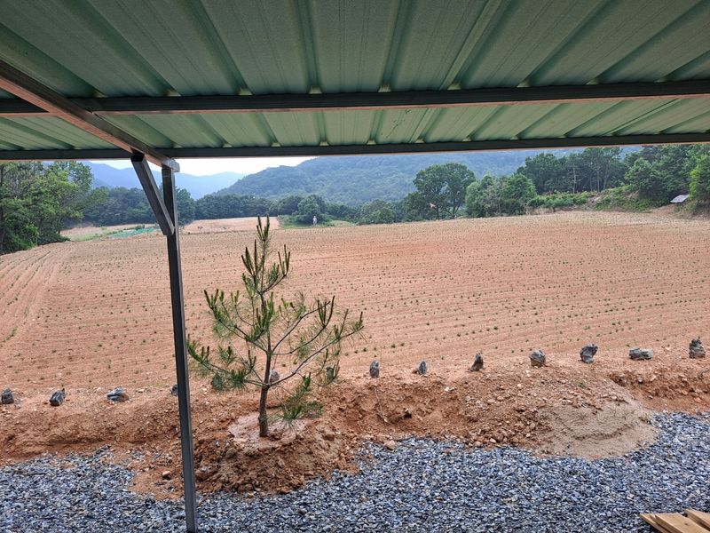 하남연님의 장터 판매 상품 [서리태 볶은 콩가루 1kg 판매완료] 첨부 사진