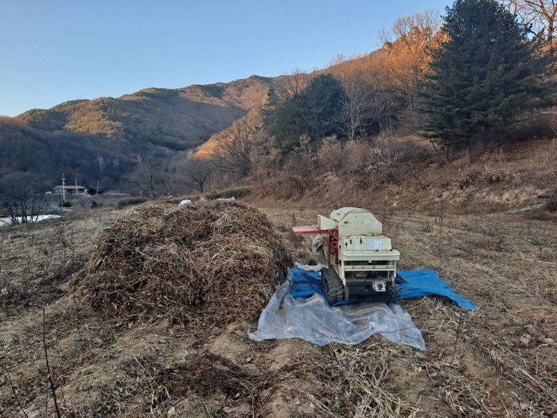 하남연님의 장터 판매 상품 [서리태 볶은 콩가루 1kg 판매완료] 첨부 사진