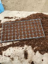 팜모닝 참깨·자유게시판 게시글 이미지