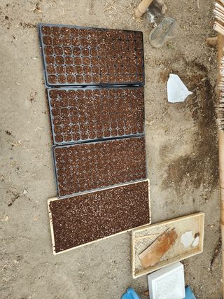 김찬우님의 참깨 · 자유게시판 작성글 사진