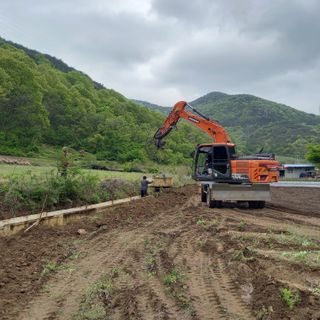 봉골농장님의 자유주제 · 자유게시판 작성글 사진