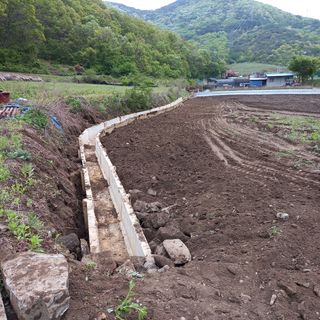 봉골농장님의 자유주제 · 자유게시판 작성글 사진