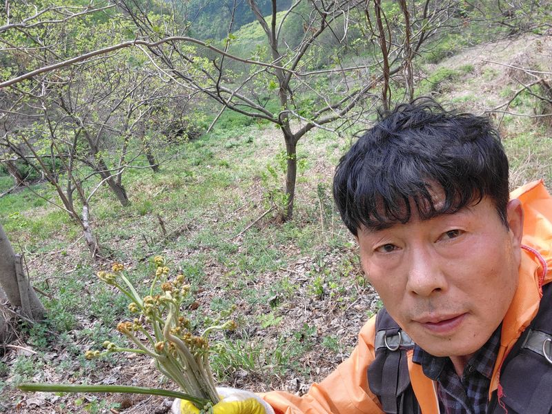 장터 상품 [햇 마른 고사리 500g] 썸네일