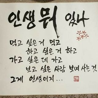 머슴님의 자유주제 · 자유게시판 작성글 사진