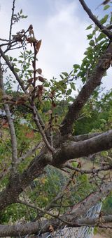 팜모닝 우리동네·동네수다 게시글 이미지