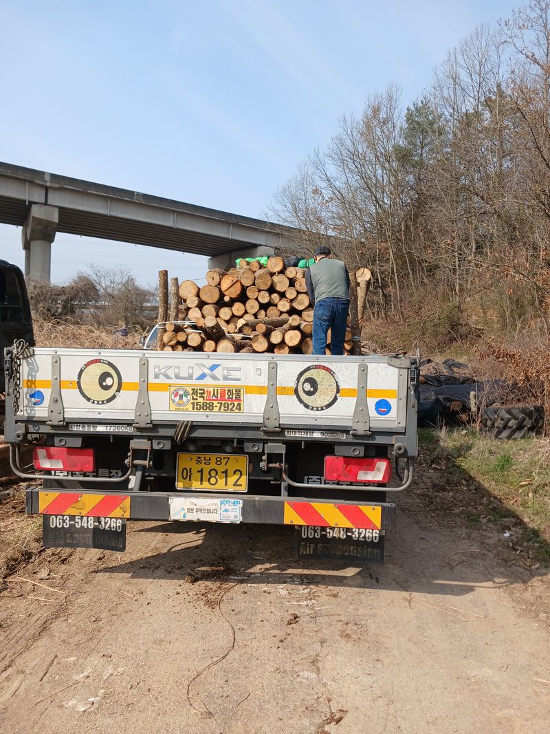 샬롬 ~님의 장터 판매 상품 [ 표고버섯 종균접종 참나무원목 분양합니다] 첨부 사진