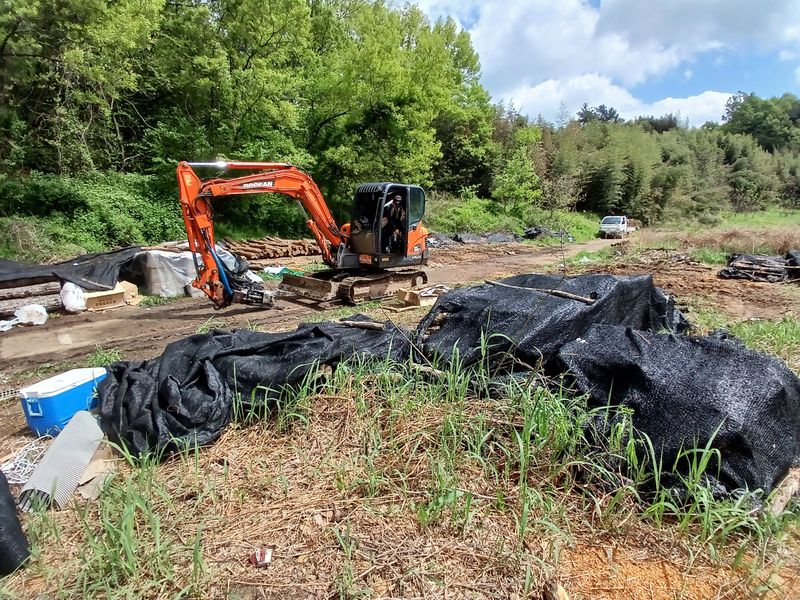 샬롬 ~님의 장터 판매 상품 [ 표고버섯 종균접종 참나무원목 분양합니다] 첨부 사진