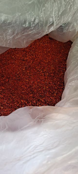 꽃분이님의 작성글 사진