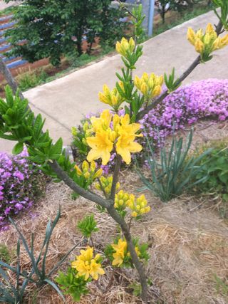 알 수 없음님의 자유주제 · 사진전 작성글 사진