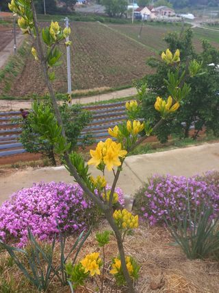 알 수 없음님의 자유주제 · 사진전 작성글 사진