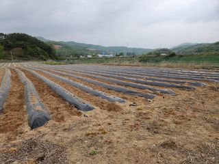 HYUN님의 참깨 · 자유게시판 작성글 사진