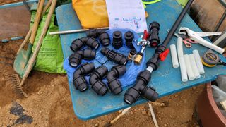 이종선님의 고추 · 일상 작성글 사진