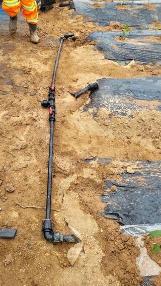 이종선님의 고추 · 일상 작성글 사진